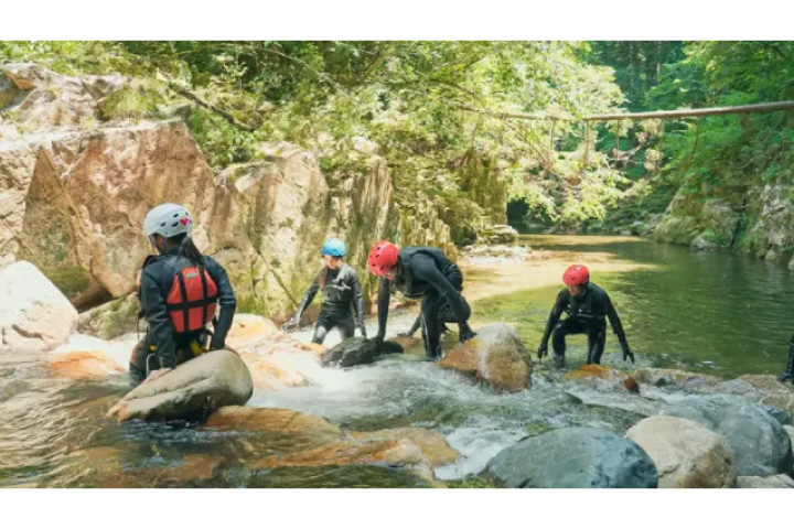 湯来観光地域づくり公社 プログラム参加料で森林保全